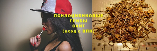 стаф Арсеньев