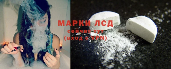 стаф Арсеньев