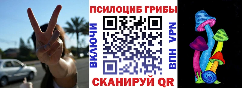 Псилоцибиновые грибы мицелий Фрязино